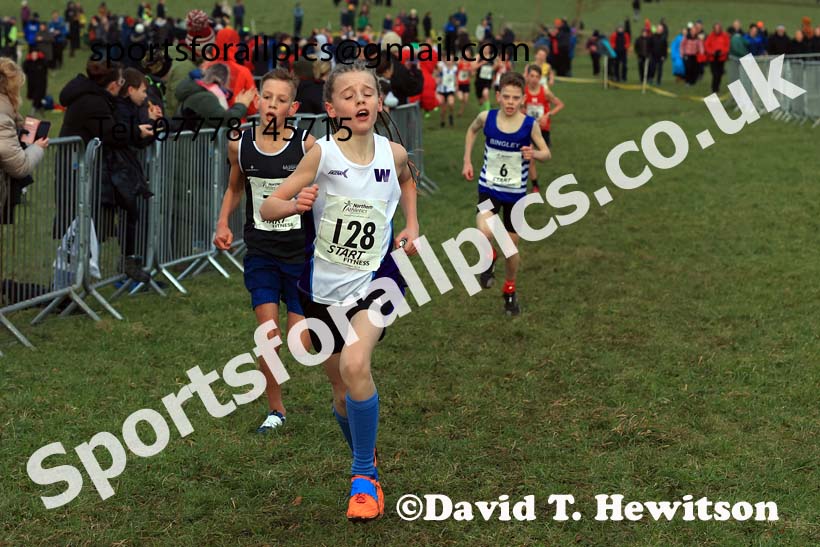 Boys Under-13s 2024 Northern Cross Country Champs., Sedgefield. Photo: David T. Hewitson/Sports for All Pics
